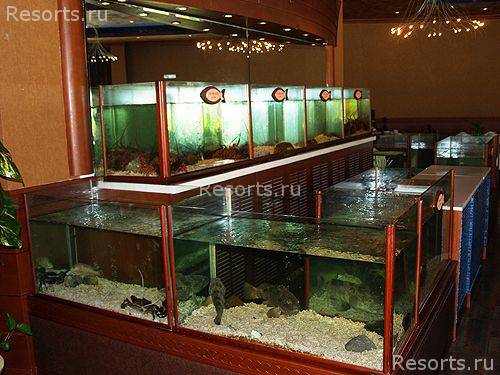 Al Hamra Fort Hotel & Beach Resort 29